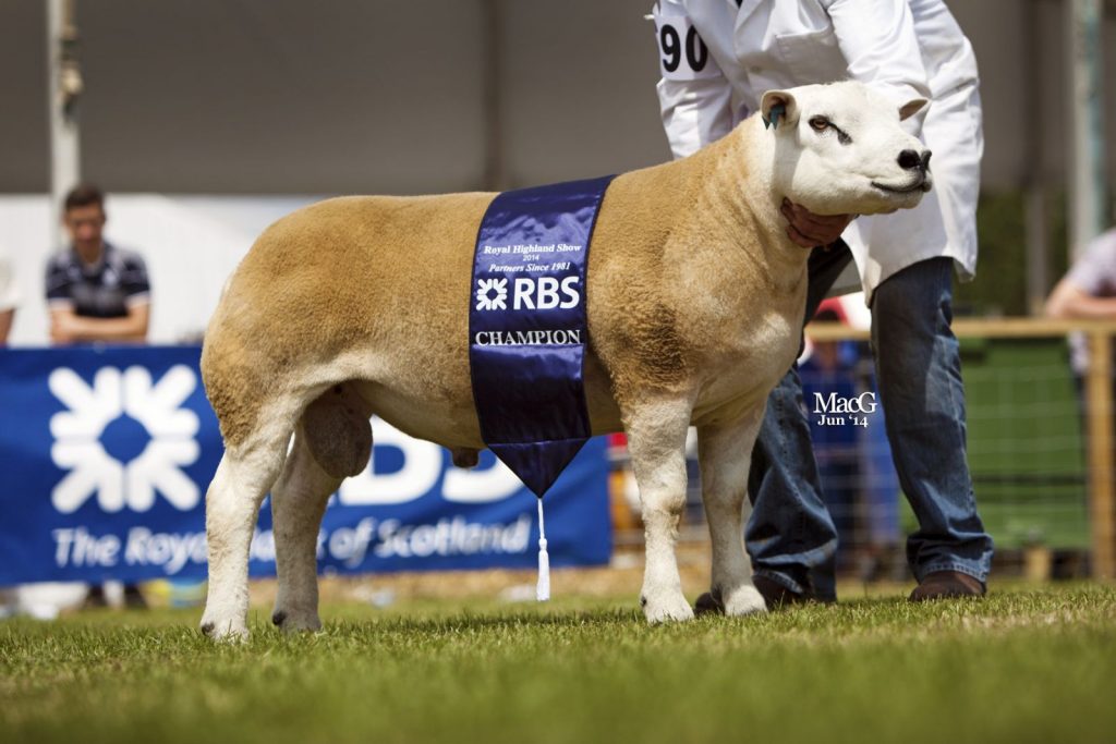 Royal Highland Show 2014