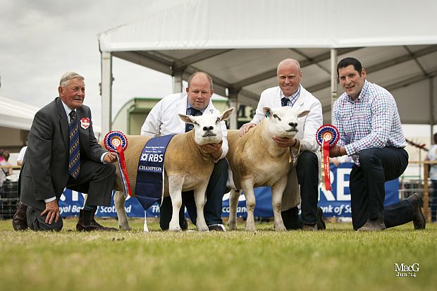 Royal Highland Show Interbreed Success
