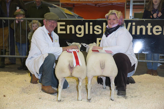 Texels score double top at English Winter Fair