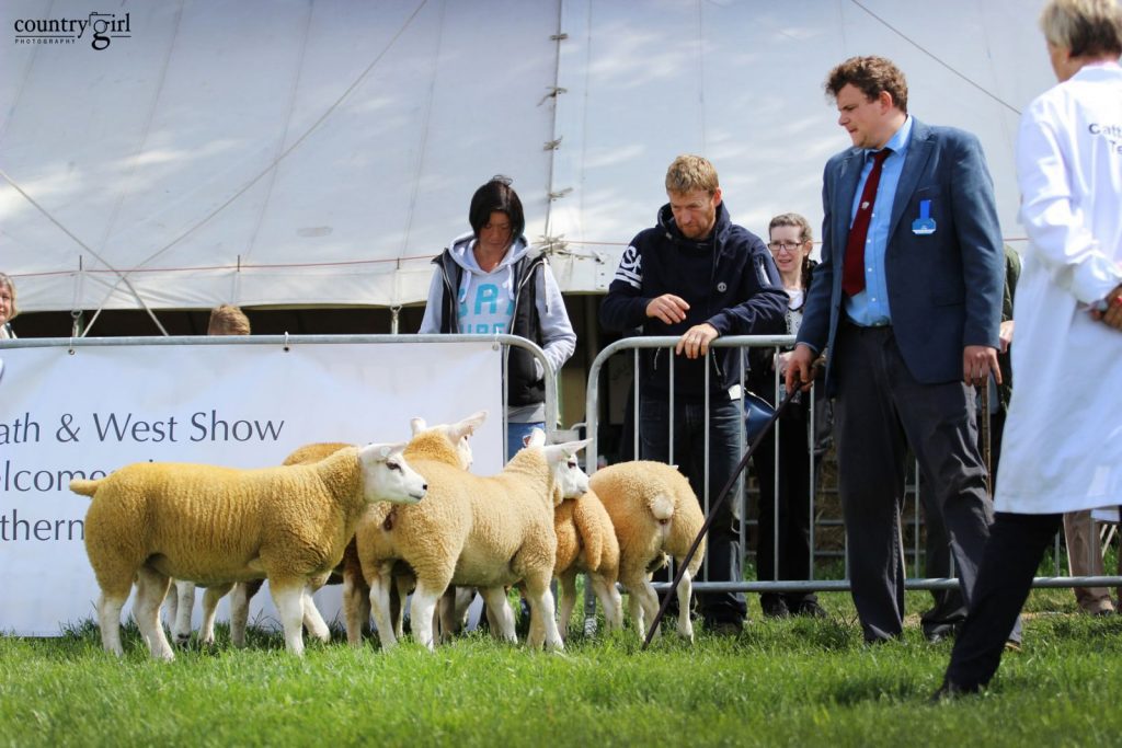 Youth to the fore at Royal Bath and West Show