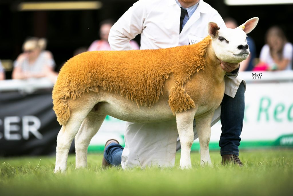 Wiz Kid daughter leads Royal Welsh