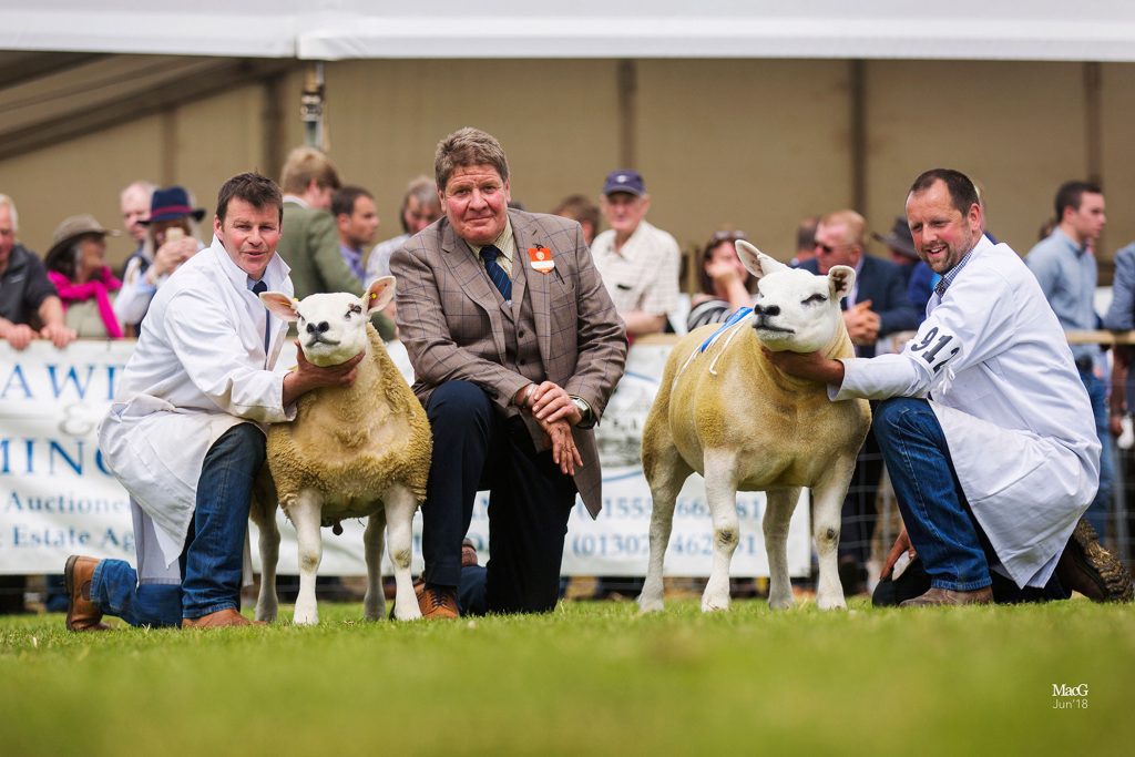 Haddo tup lamb leads Royal Highland line up