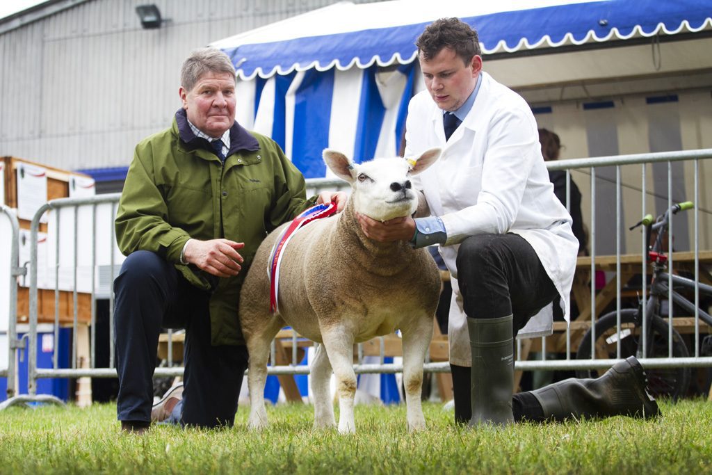Well travelled gimmer strikes at Royal Bath and West