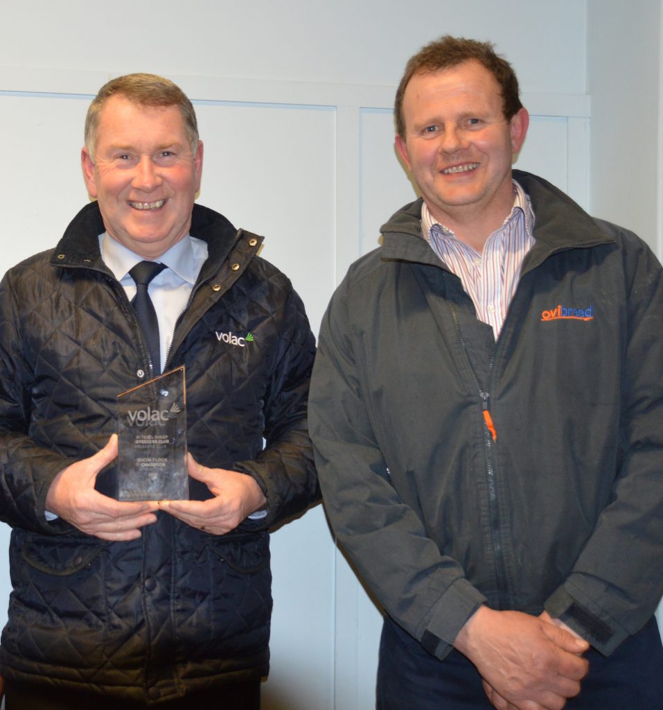 NI Texel Club Gets Set For Volac Show Championship