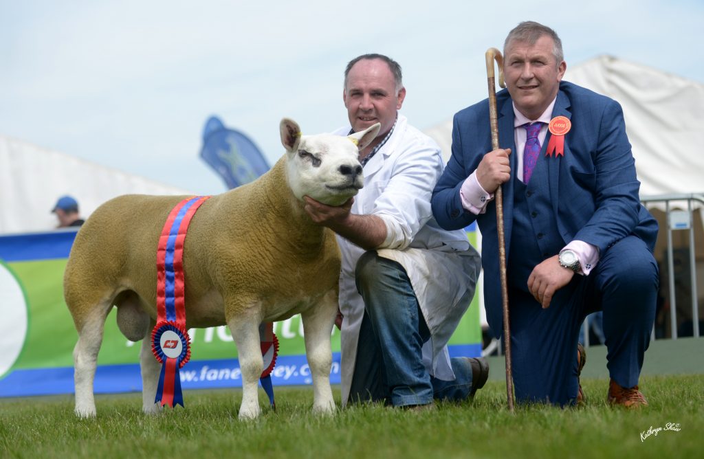 Alderview Barrister takes judge's nod at Balmoral