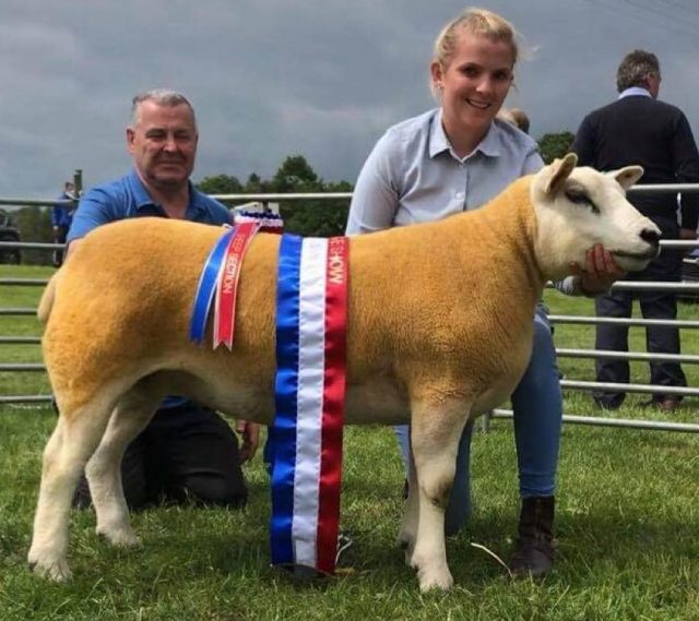Gimmer leads Dyfed Club Show
