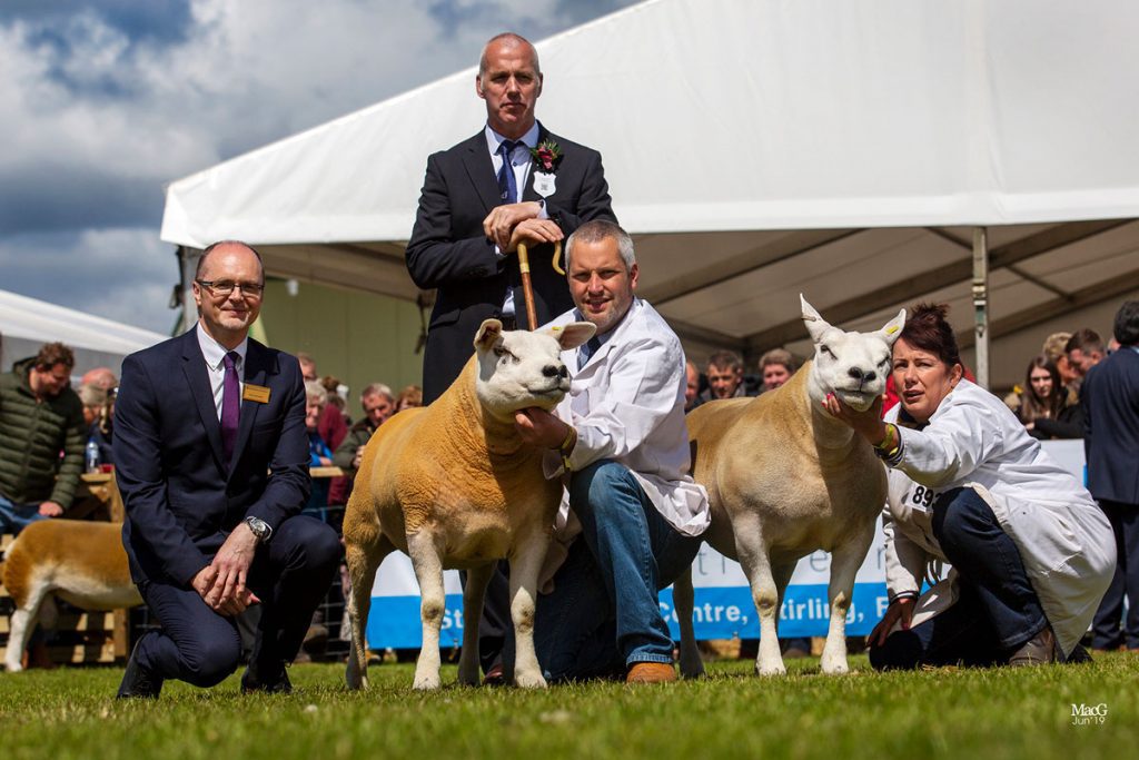 Douganhill gimmer delights at Royal Highland Show