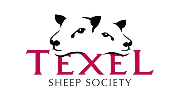 Blaencar wins South Wales flock competition