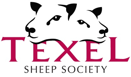 Society events update: Covid-19