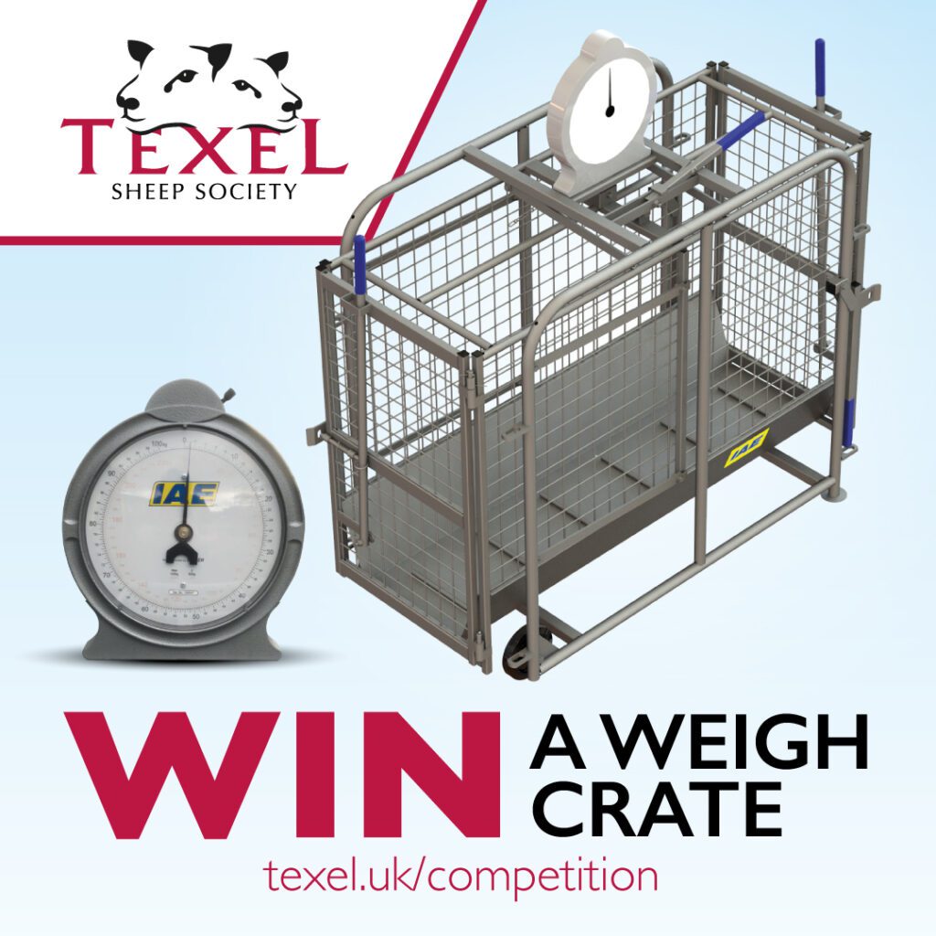 Win a weigh crate