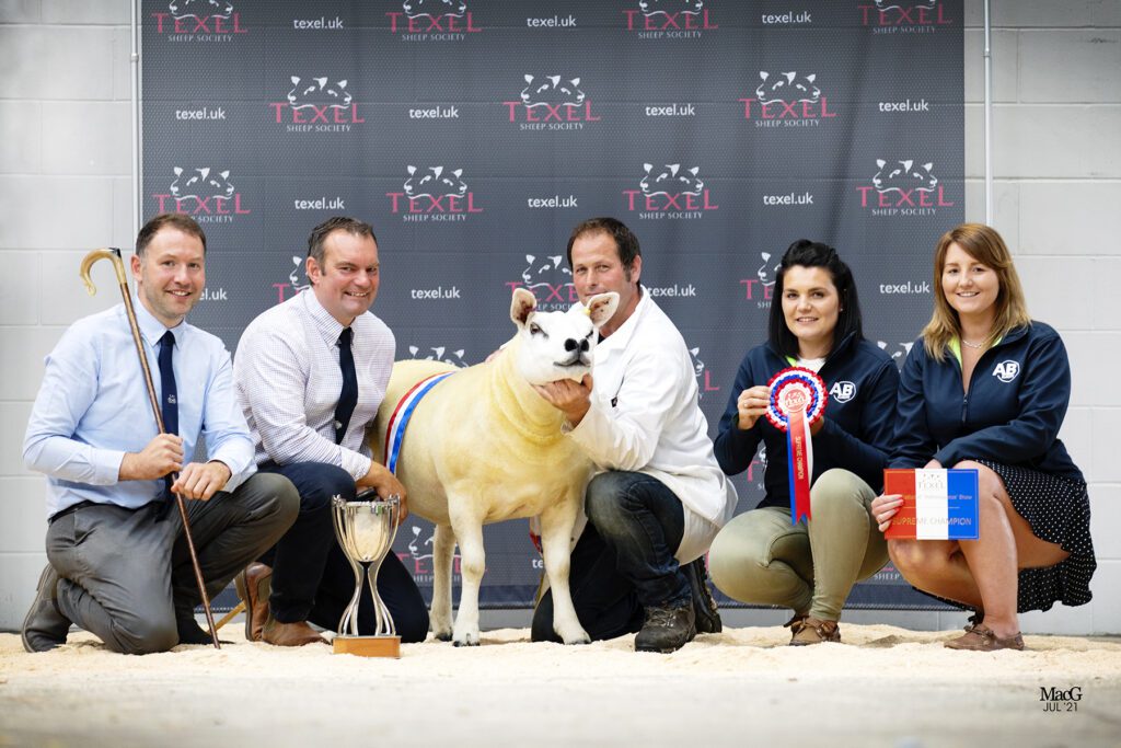 Knap gimmer leads Textravaganza