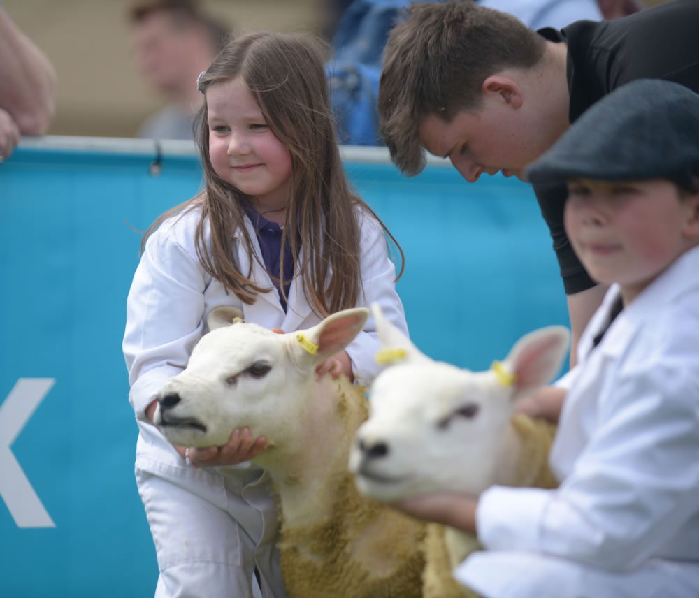 2019_BalmoralShow_Junior-a