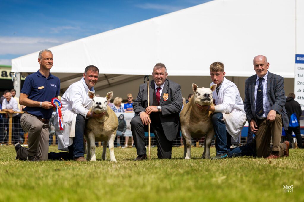 Garngour gimmer shines at Royal Highland
