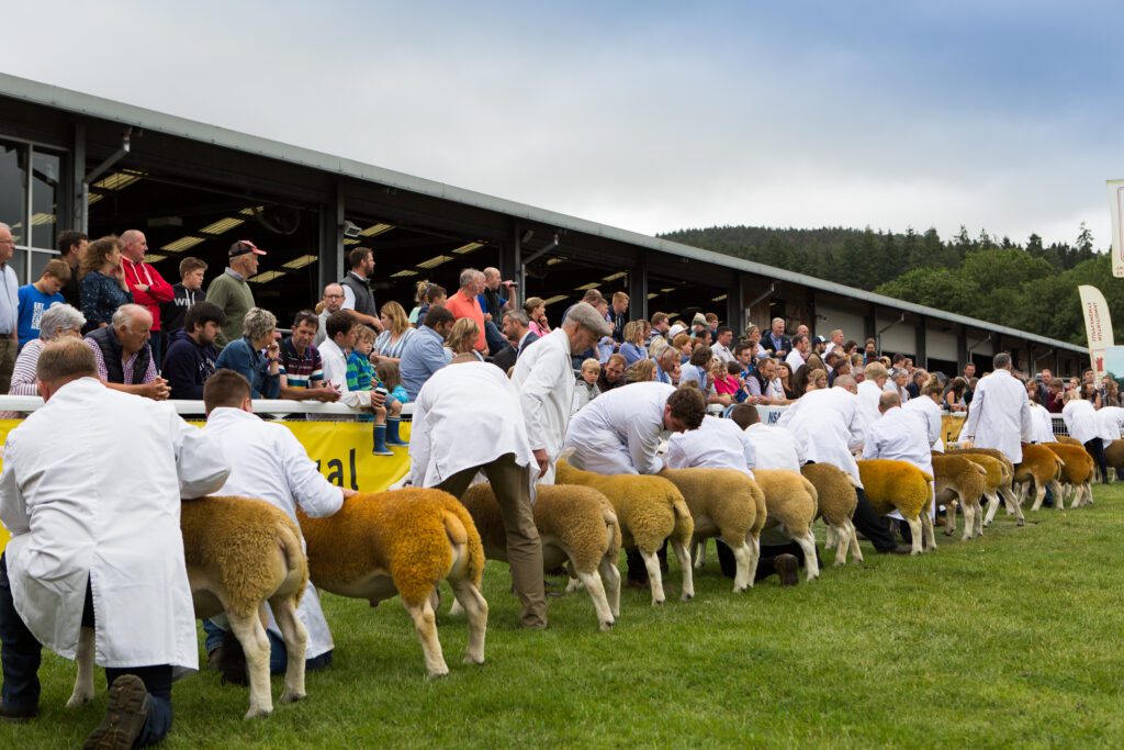 Royal Welsh Show hot weather update