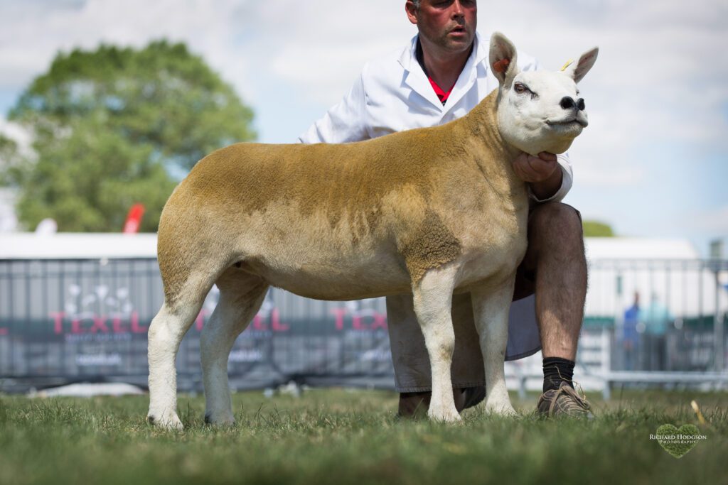 Garngour takes top spot at Great Yorkshire
