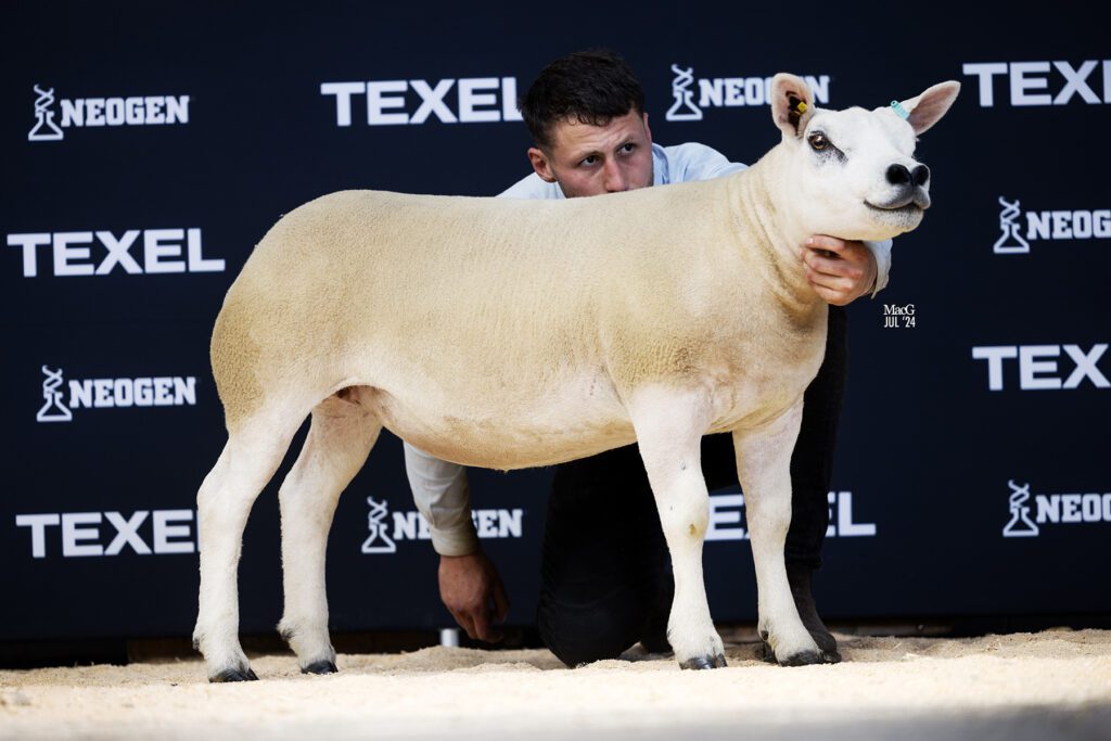YDP-Gimmer-Saltcotes-3493