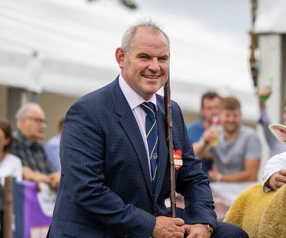 TX-Male-Champs-3220 TX-Male-Champs-3220