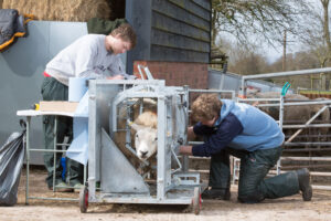 Picture Tim Scrivener 07850 303986