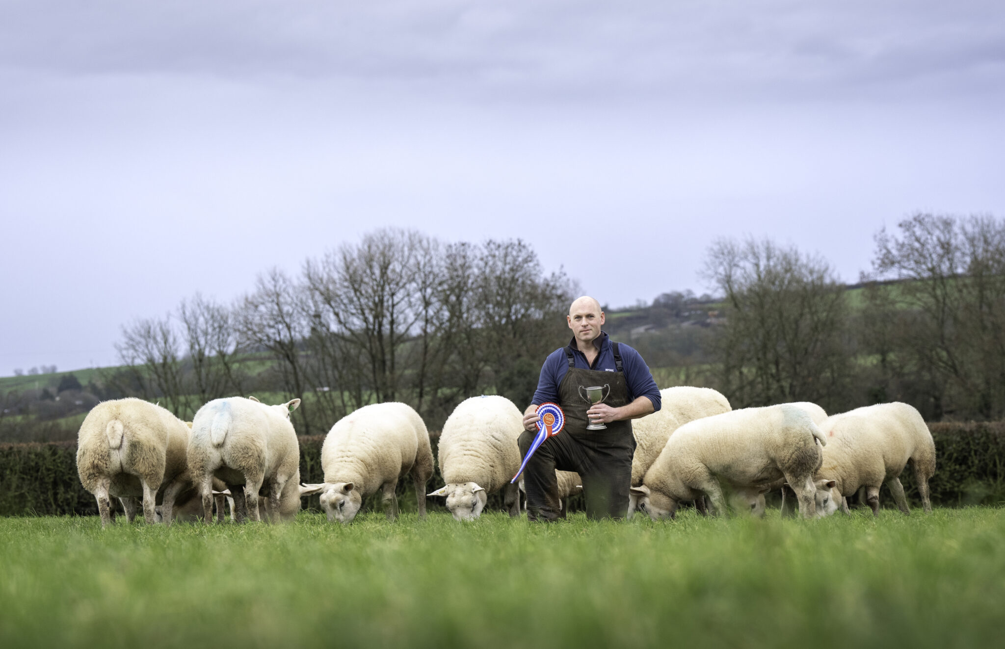 Top flocks win regional competitions – The British Texel Sheep Society Ltd