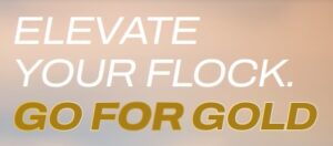 go for gold