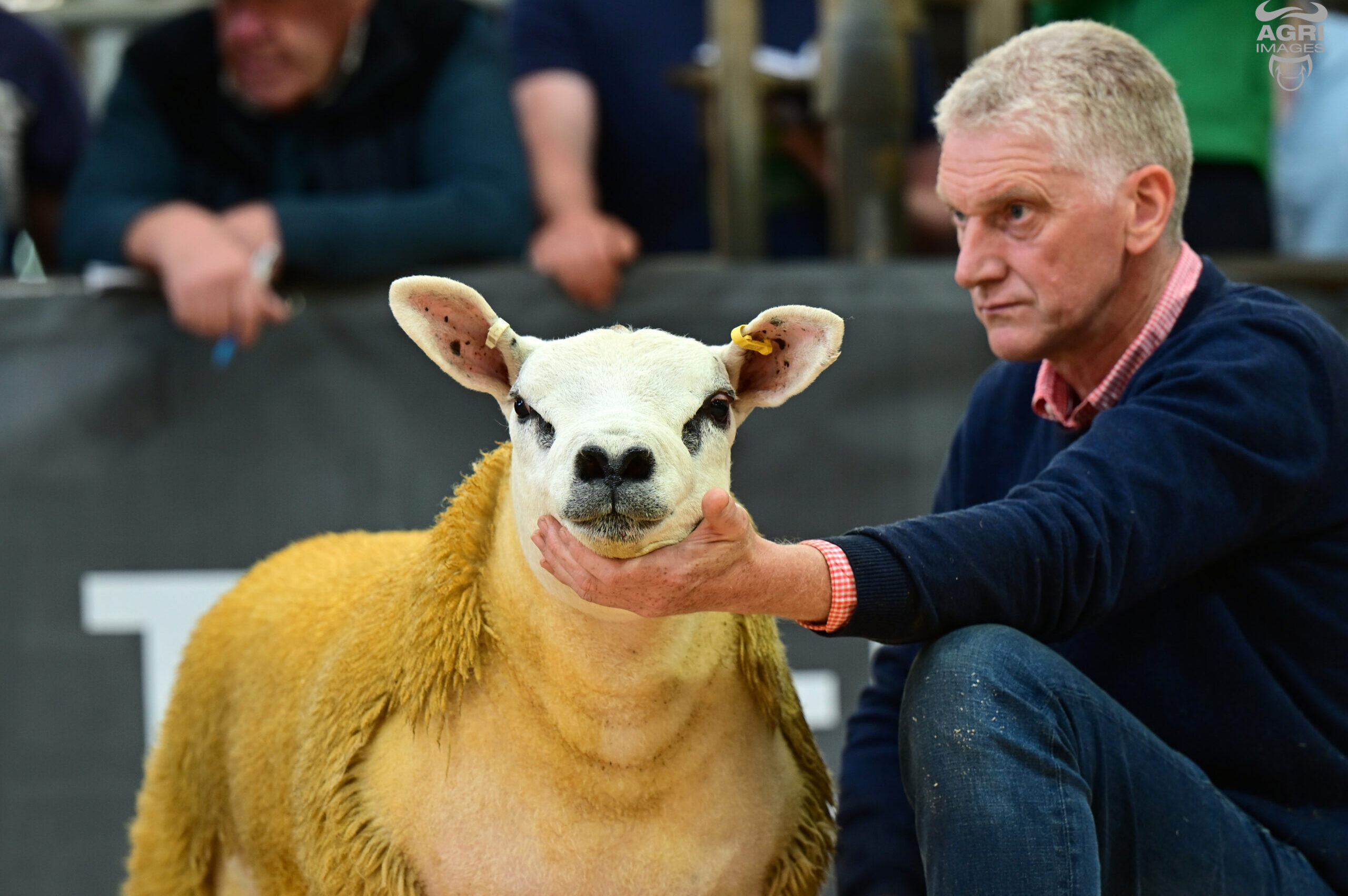 Royal Highland Show 2026
